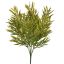 ROSEMARY BUSH 35CM GREEN