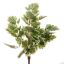 GERANIUM PLANT 33CM WHITE GREEN