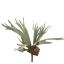 STAGHORN 45CM GREEN