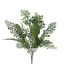 CELERY BUSH 45CM GREEN