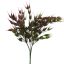 RICE BUSH 37CM BEAUTY