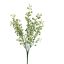 BERRY BUSH 34CM CREAM