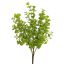 BOXWOOD BUSH 37CM GREEN