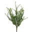 THYME BUSH 45CM GREEN