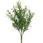 ROSEMARY BUSH 38CM GREEN