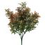 BOXWOOD BUSH 35CM CORAL