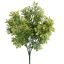 BOXWOOD BUSH 35CM GREEN