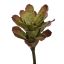 SMALL PINEAPPLE PLANT 27CM GREEN RED