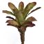 LARGE PINEAPPLE PLANT 45CM GREEN RED
