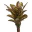 LARGE PINEAPPLE PLANT 45CM SPOTTED