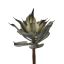 SUCCULENT 24CM GREEN