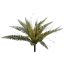 BOSTON FERN H43 D36CM GREEN