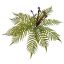 PLASTIC FERN D60 H40CM GREEN