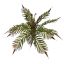 PLASTIC FERN D60 H40CM GREEN RED