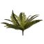 BOSTON FERN 43CM GREEN