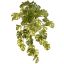 SPLIT PHILO HANGING BUSH X8 50CMGREEN