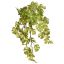 SPLIT PHILO HANGING BUSH X8 50CM WHITE GREEN