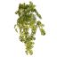 SPLIT PHILO HANGING BUSH X12 70CM GREEN