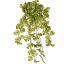 SPLIT PHILO HANGING BUSH X12 70CM WHITE GREEN