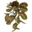 PEACOCK HANGING BUSH X7 50CM GREEN RED