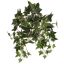BUSH X 8 W/116LVS HOLLAND