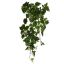 BUSH X 9 W/170LVS POTHOS