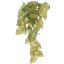 SYNGONIUM BUSH 46CM GREEN