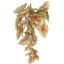SYNGONIUM BUSH 46CM GREEN RED