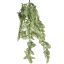 SYNGONIUM BUSH 100CM GREEN