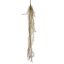 TILLANDSIA BUSH 110CM BROWN