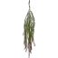 HANGING SPRENGERI BUSH 95CM BROWN