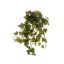 HANGING IVY BUSH X8 60CM ENGLISH