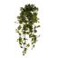 HANGING IVY BUSH 114CM ENGLISH