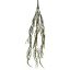 TIRUCALLI HANGING 50CM GREEN
