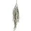 TIRUCALLI HANGING 80CM GREEN