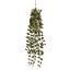 MONEY LVS HANGING BUSH 75CM GREEN