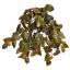 PHILO LEAF HANGING BUSH PINK GREEN
