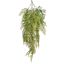 MAIDEN HAIR BUSH 70CM LIGHT GREEN