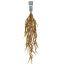 HANGING FOXTAIL BUSH 80CM BROWN