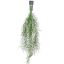 HANGING CORAL BUSH 80CM GREEN