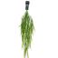 HANGING GRASS BUSH 80CM GREEN