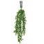 HANGING EUCALYPTUS 80CM GREEN