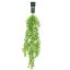 HANGING EUCALYPTUS 80CM LIGHT GREEN