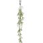 HANGING STAGHORN 130CM GREEN