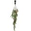 HANGING CYPRESS 115CM GREEN