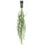 HANGING EUCALYPTUS 95CM GREEN