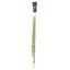 LARGE HANGING SENECIO 90CM GREEN