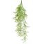 STAGHORN BUSH 75CM GREEN