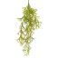 STAGHORN BUSH 75CM YELLOW