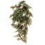 BEGONIA BUSH 50CM GREEN
